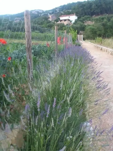 Villa Mora Banjol