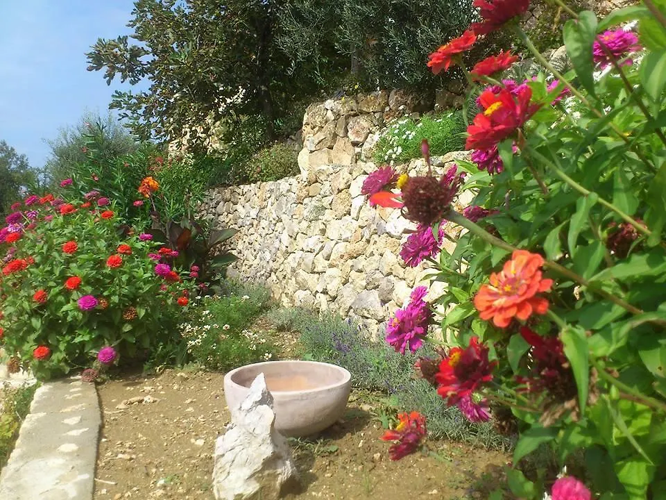 Villa Mora Banjol 0*,  Croatia